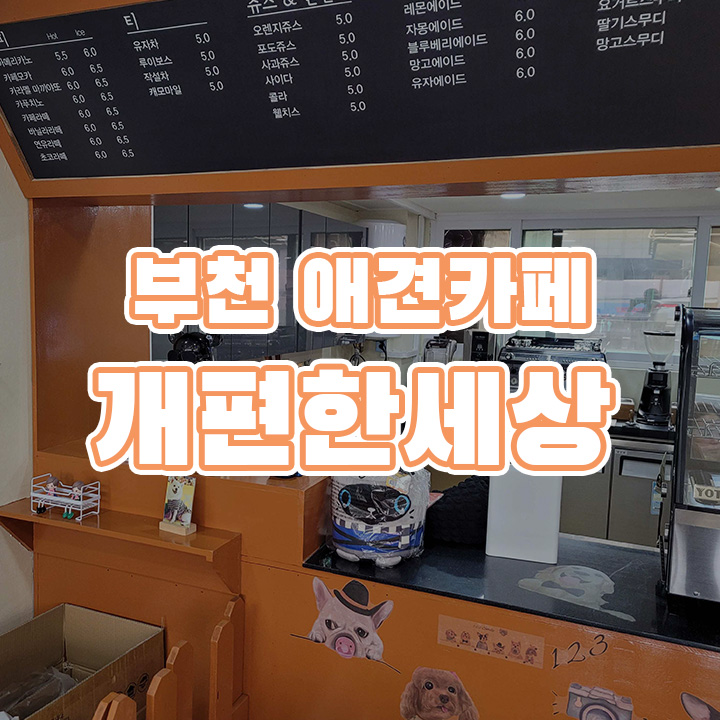 개 편한세상
